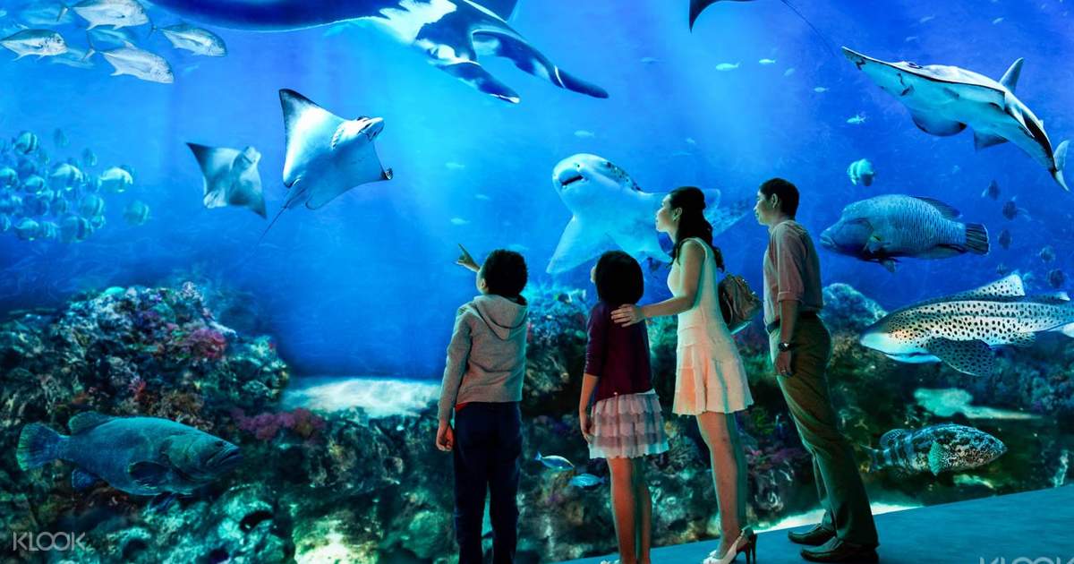 S.E.A. Aquarium Ticket Sentosa, Singapore - [KlookExclusive]SEAAquariumTicketSentosa,Singapore